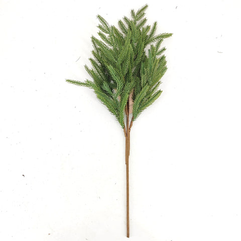 Norfolk Pine Picks