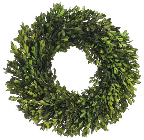 Preserved Boxwood Wreath 12”