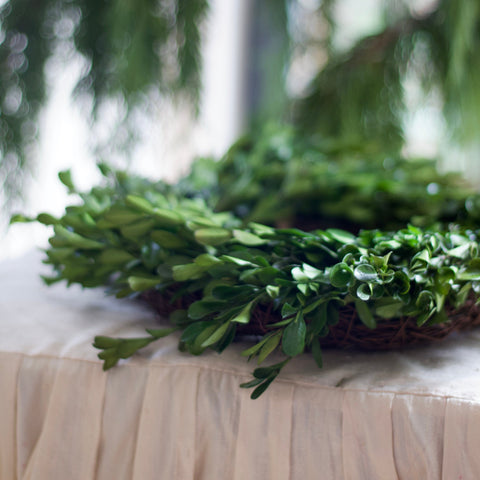 Preserved Boxwood Wreath 12”