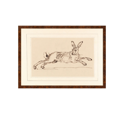 Vintage Illustration of Hare