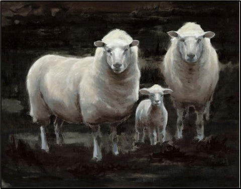 The Family of Sheep